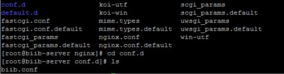 nginx_virtual_host_p4