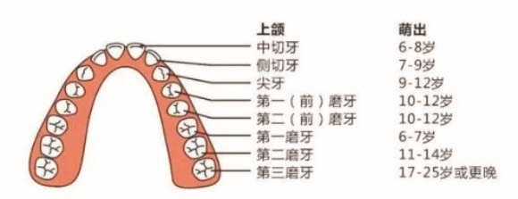 can_cure_pulpitis_with_medicine_p1