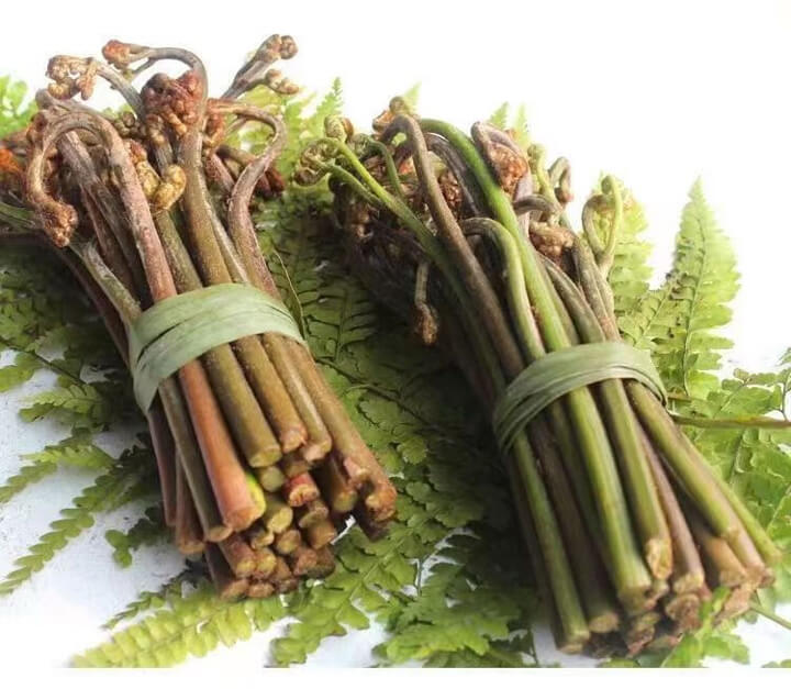 点击放大图片 陟彼南山,言采其蕨。