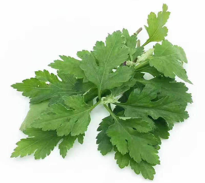 点击放大图片 野蔌山蔬次第尝,菊花脑嫩笋丝长。