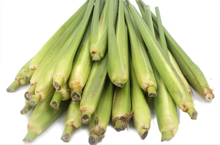 点击放大图片 菰笋初生泥淖中,冰肌玉质出玲珑。