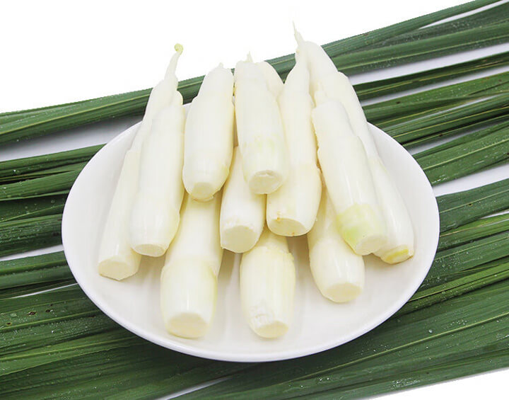 点击放大图片 菰笋初生泥淖中,冰肌玉质出玲珑。